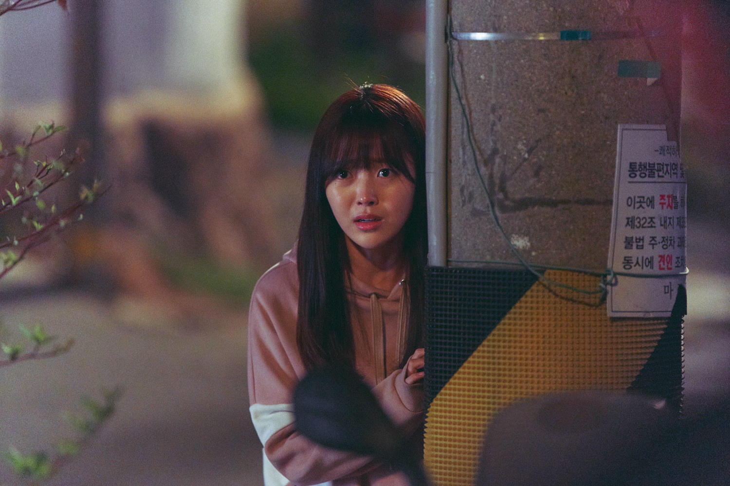 Netflix《Move to Heaven：我是遺物整理師 》 李帝勳 陳俊翔 唐俊尚 洪承希 洪承熙