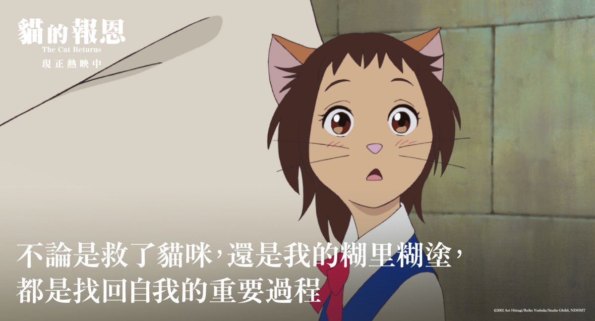 宮﨑駿療癒系動畫《貓的報恩》金句台詞