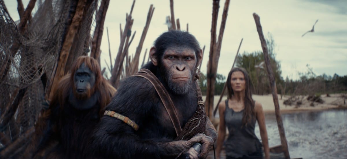 Disney+8月強檔片單:金宣虎韓劇《暴君》、BTS防彈Jimin與柾國旅行實境秀《Are You Sure?!》、爆笑韓綜《韓星地帶:逃脫任務3》 - 第2張圖 Disney+電影《猩球崛起:王國誕生》(Kingdom of the Planet of the Apes)8/2
