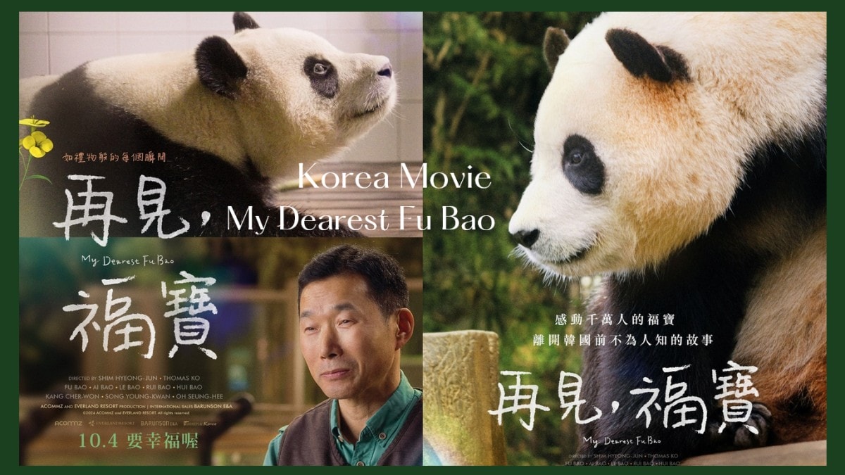 《再見，福寶》貓熊「福寶」催淚道別電影！揭露感動千萬人的福寶，離開韓國前不為人知的故事！