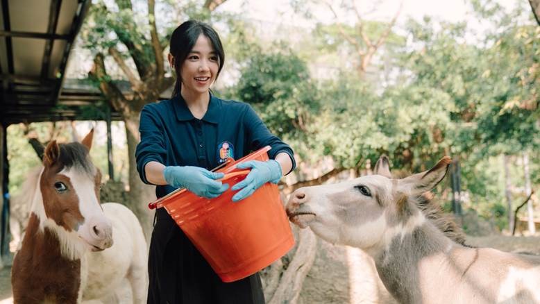 邵雨薇&王柏傑再續前緣:台劇《動物園》廣告創意總監陰錯陽差成為動物園保育員!橫跨台美取景愛情故事 - 第2張圖 Disney+愛情台劇《動物園》邵雨薇、王柏傑、李淳