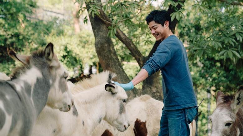邵雨薇&王柏傑再續前緣:台劇《動物園》廣告創意總監陰錯陽差成為動物園保育員!橫跨台美取景愛情故事 - 第3張圖 Disney+愛情台劇《動物園》邵雨薇、王柏傑、李淳