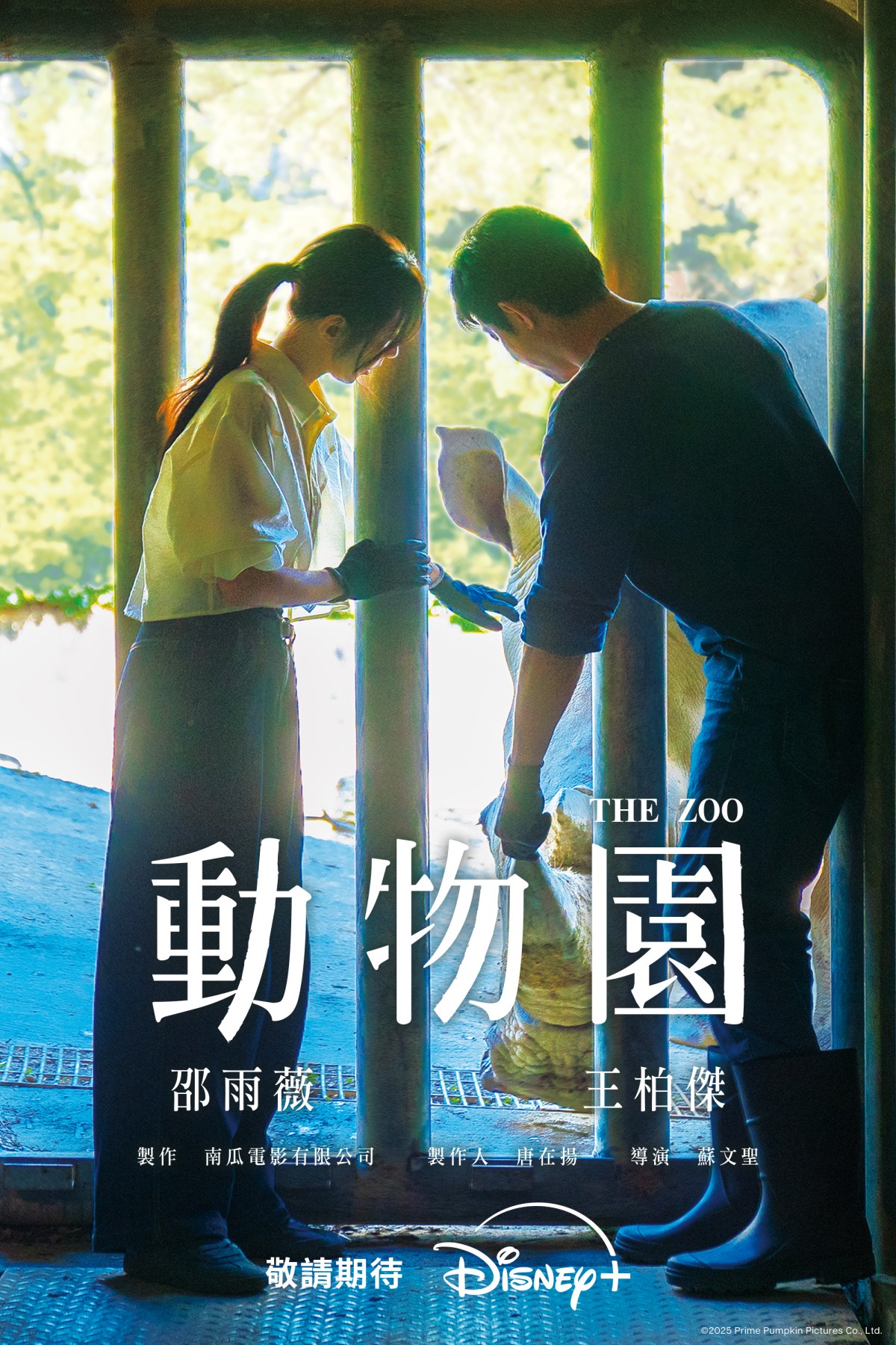Disney+《動物園》於高雄電影節榮獲觀眾票選第一，全新動物職人劇備受矚目