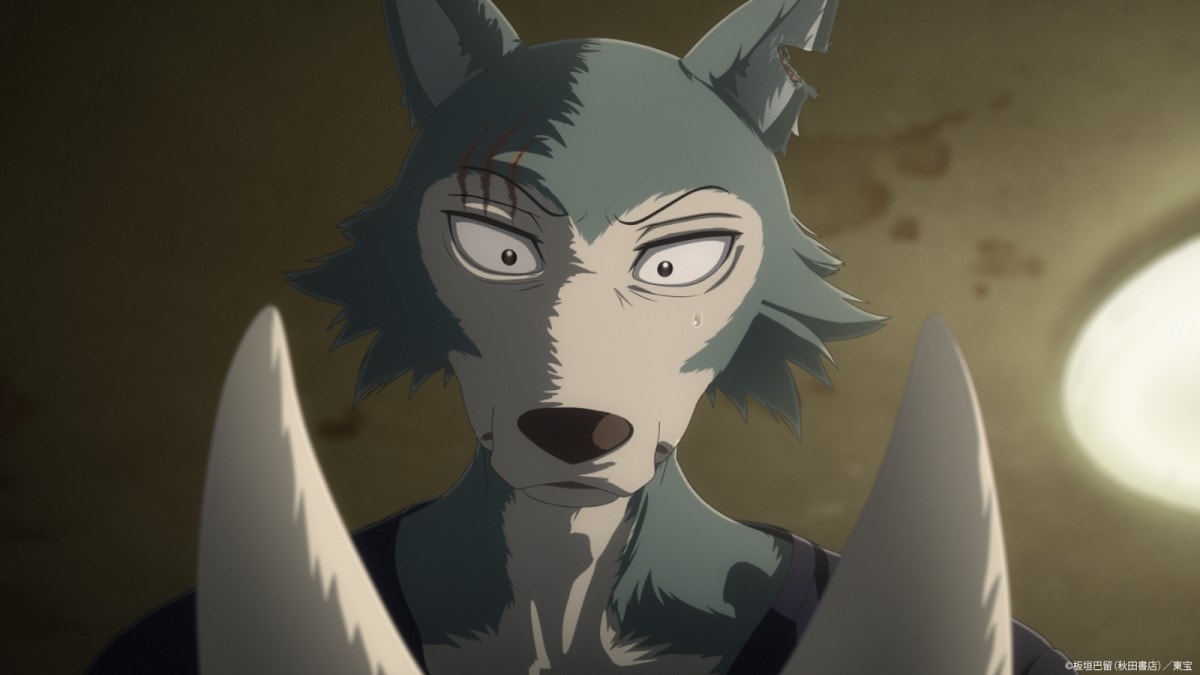 .Netflix影集《BEASTARS FINAL SEASON Part2》3/7