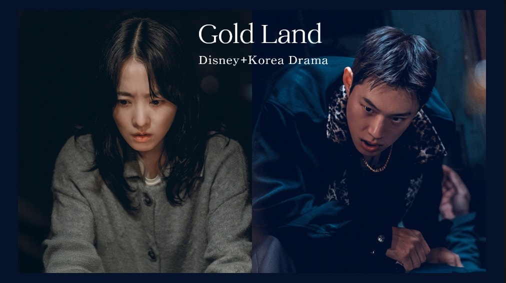 Gold Land 2026 0511